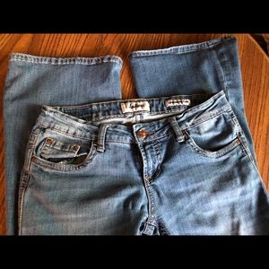 Daytrip Capricorn Kickflare Jean